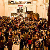 Chicago Wine and Food Event Wine Enthusiast Toast of the Town Coming June 17