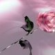 Pinkyspages
