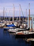 Shilshole Marina