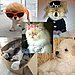 Who's Your Favorite Pet Celeb?