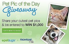 Show Off Your Cute Pet Pics and Win $1,000 From FRONTLINE Plus! Show Off Your Cute Pet Pics and Win $1,000 From FRONTLINE Plus!