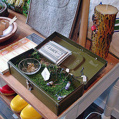 Shopping in Nopa on San Francisco's Divisadero Street