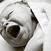 Babies Are Vampires