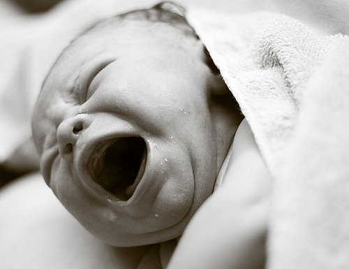 Babies Are Vampires Babies Are Vampires