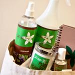 Review of Zen Home Cleaning Services in San Francisco