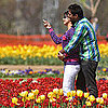 Kashmir Tulip Festival Pictures