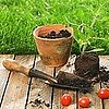 Gardening Apps, Easter DIYs