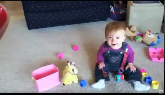 Baby Laughs at Dog Eating Bubbles