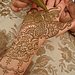 Pretty Paisley