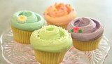 Magnolia Bakery Cupcake Recipe Magnolia Bakery Cupcake Recipe