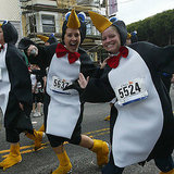 San Francisco Bay to Breakers, Taste of Portero, Bike to Work Day, and More