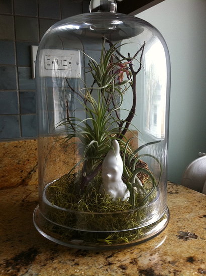 Spring Terrarium and Gnome Home