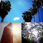 Twitter Pics of Los Angeles