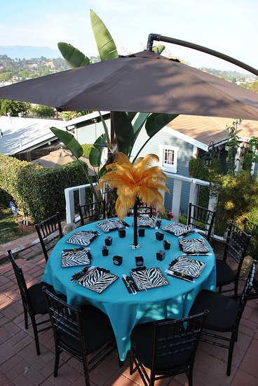Our backyard