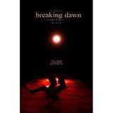 NEW breaking dawn pt 1 poster