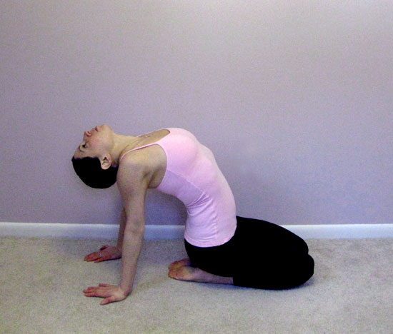 Seated Heart Opener