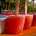 Watermelon Margarita Pops