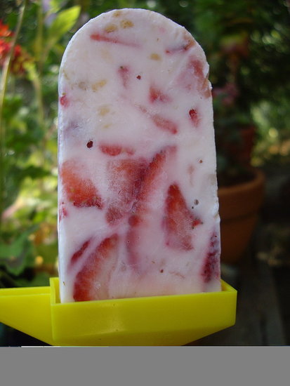 Strawberry and Raspberry Froyo Pop