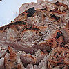 Cuban Grilled Pork Recipe 2011-07-05 13:38:32