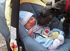 Outfits for Newborns to Wear Home From the Hospital Outfits for Newborns to Wear Home From the Hospital