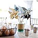 Pinwheels