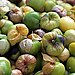 What to Buy: Tomatillos