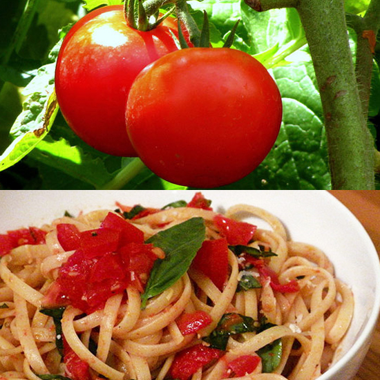 Cooking With Summer Vegetables