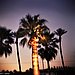 Tips for Saving for a Vacation