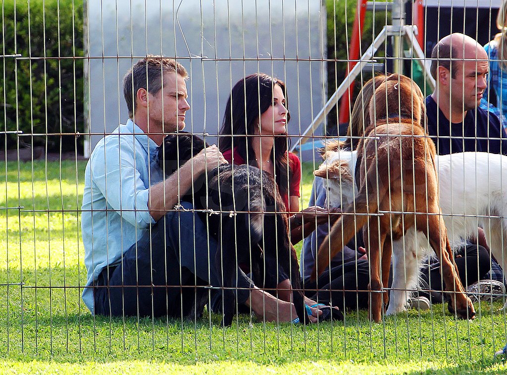 Courteney Cox and Brian Van Holt shared a scene with some dogs. Courteney Cox and Brian Van Holt shared a scene with some dogs.