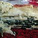 Spinach and Fontina Lasagna