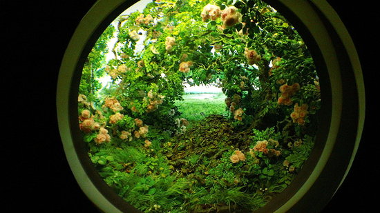 Museum of Arts and Design Otherworldly Exhibition NYC (Pictures)