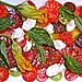 Heirloom Tomato and Burrata Salad