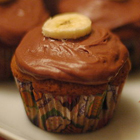 Best Cupcake Recipes