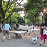 Things to Do Over Labor Day Weekend NYC