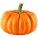 pumpkinchic