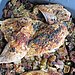 Roast Chicken