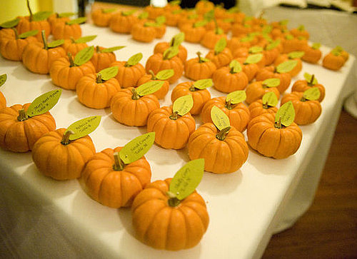 Pumpkin Places Pumpkin Places