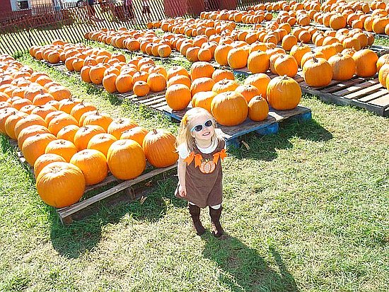 Pumpkin Patch Visit