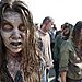 Walking Dead Zombies