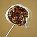 Pumpkin Cake Pops