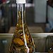 Snake Wine