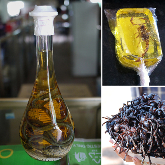 Would You Try These Freaky Food Delicacies? Would You Try These Freaky Food Delicacies?