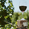 Tips For Visiting Wineries