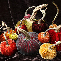 Halloween Pumpkin Decorating