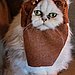 Ewok Cat