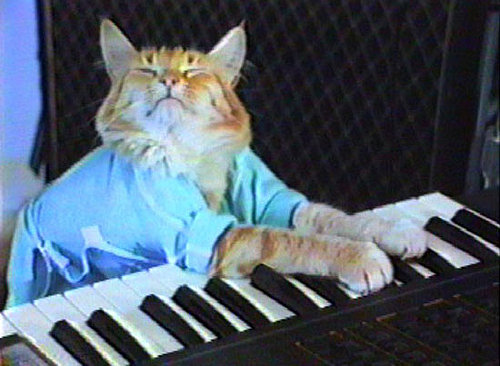 Keyboard Cat Keyboard Cat