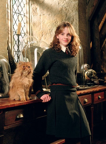 Crookshanks Crookshanks