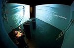 Sephora's Sensorium