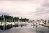 Stanley Park - Vancouver