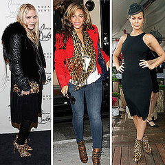 Animalistic Accessories! Picutres of Celebrities Wearing Leopard Print Shoes, Scarves and Bags: Scope the Celebrity Trend